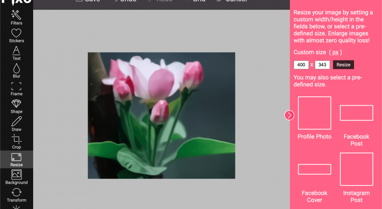 Free: Flowers GIF Photo Frames Editor 2018 - Microsoft Apps